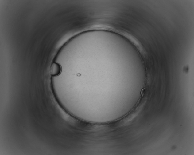 X0000101151430200807181323