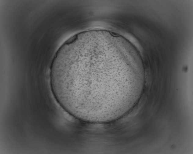 X0000101151431200807181323