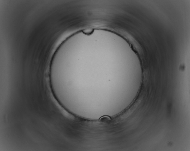 X0000101151432200807181323