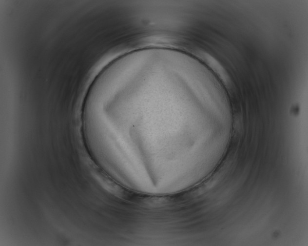 X0000101151435200807181323