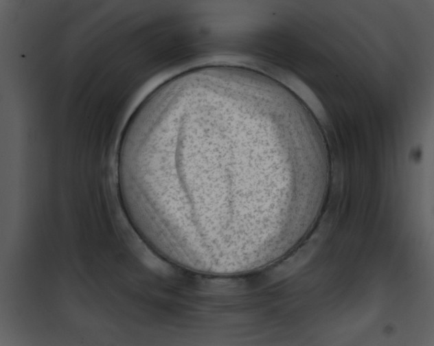 X0000101151436200807181323