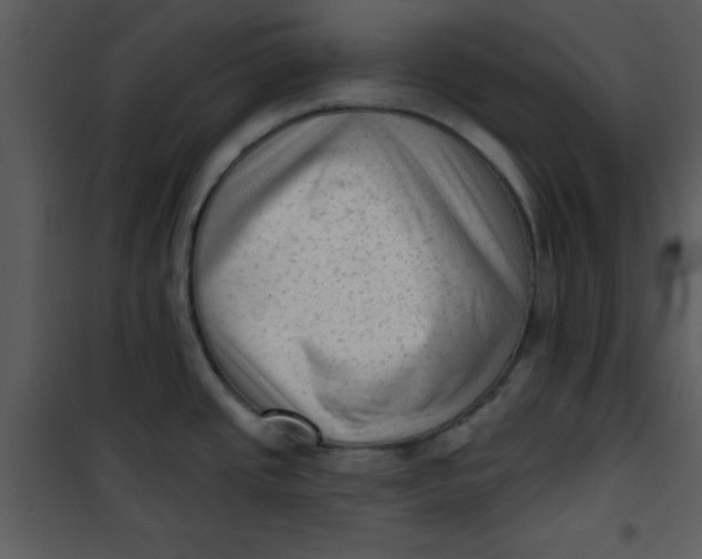 X0000101151437200807181323