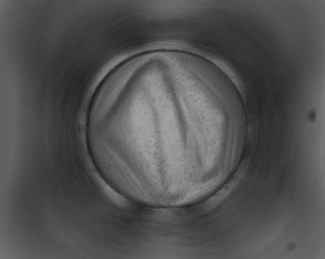 X0000101151438200807181323