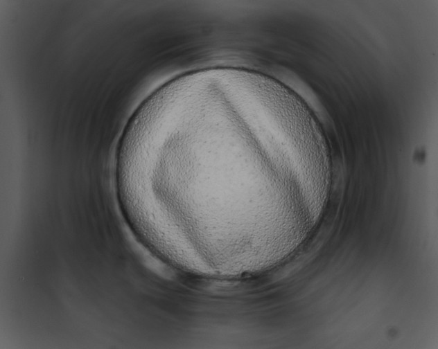 X0000101151439200807181323