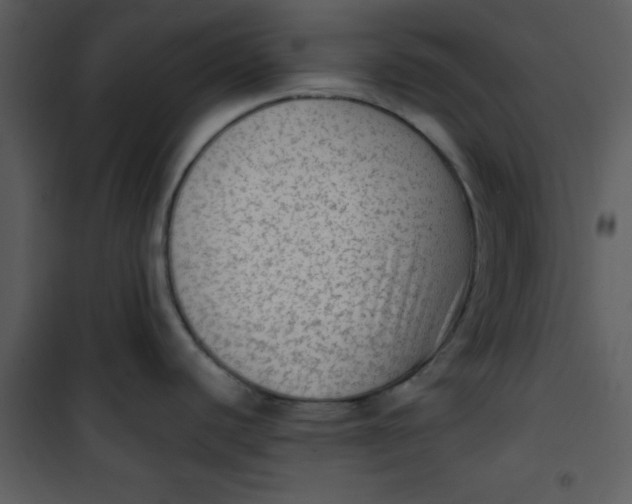 X0000101151440200807181323