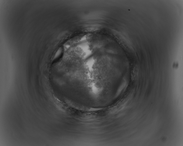 X0000101151441200807181322