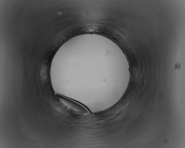 X0000101151442200807181322