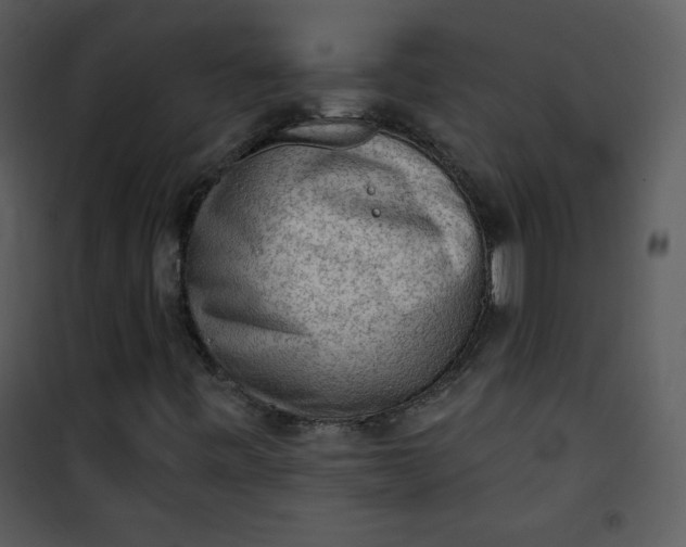 X0000101151443200807181322