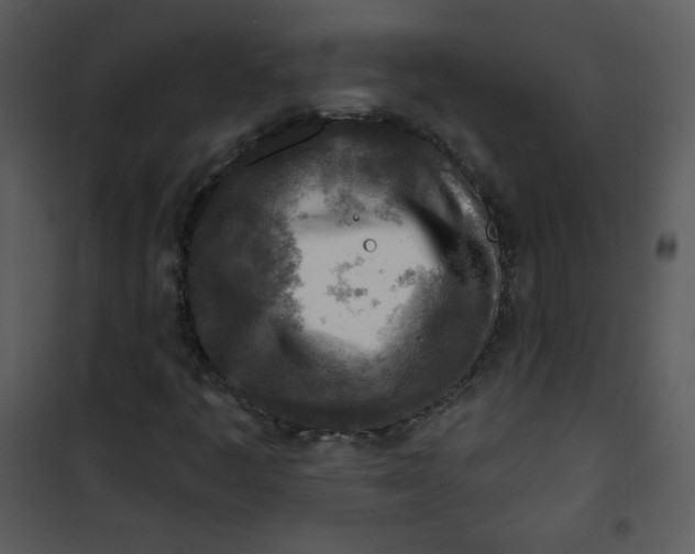 X0000101151445200807181322