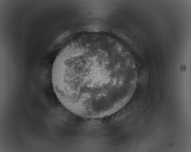 X0000101151446200807181322