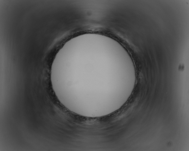 X0000101151447200807181322