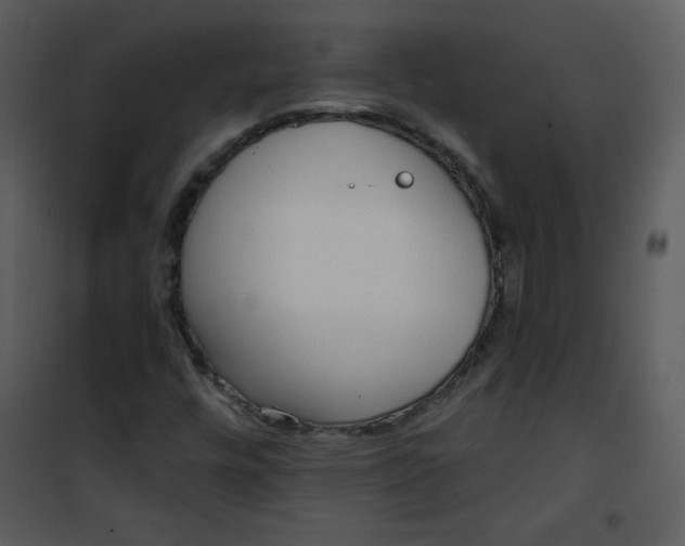 X0000101151448200807181322