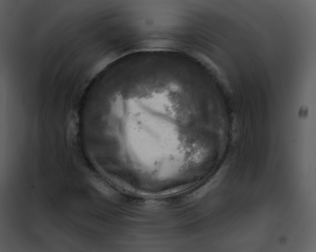 X0000101151449200807181322