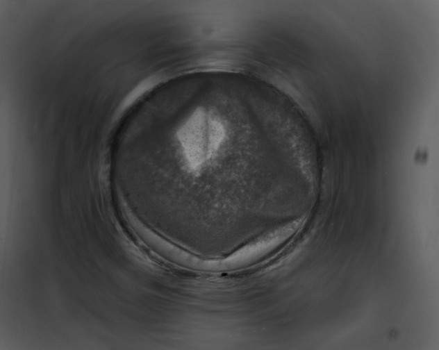 X0000101151450200807181322