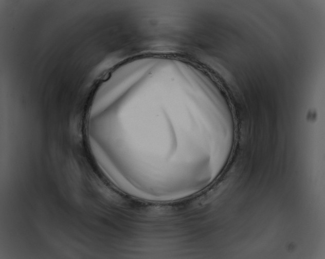 X0000101151451200807181322