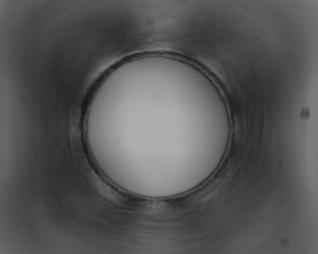 X0000101151452200807181322