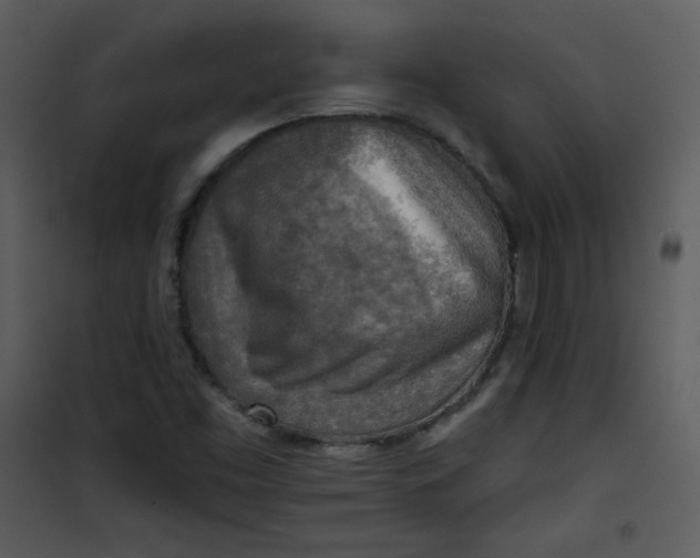 X0000101151453200807181322