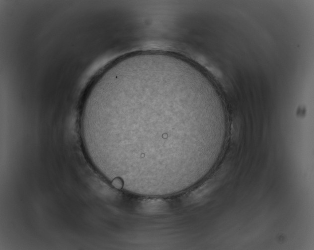 X0000101151454200807181322