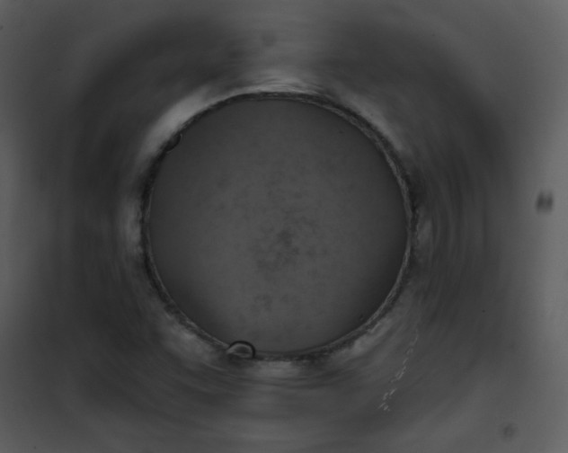 X0000101151455200807181322