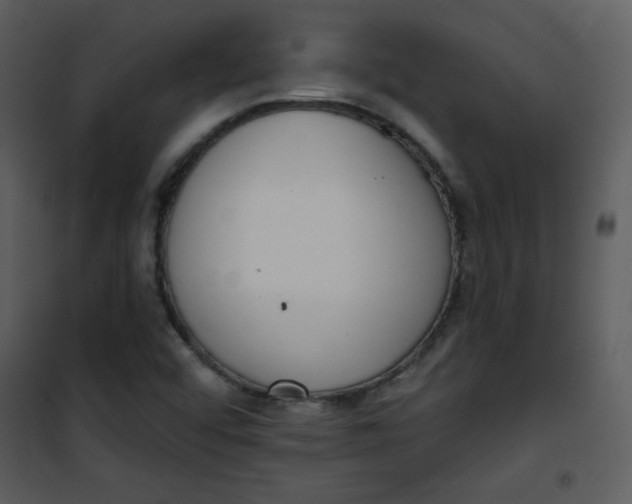 X0000101151456200807181322