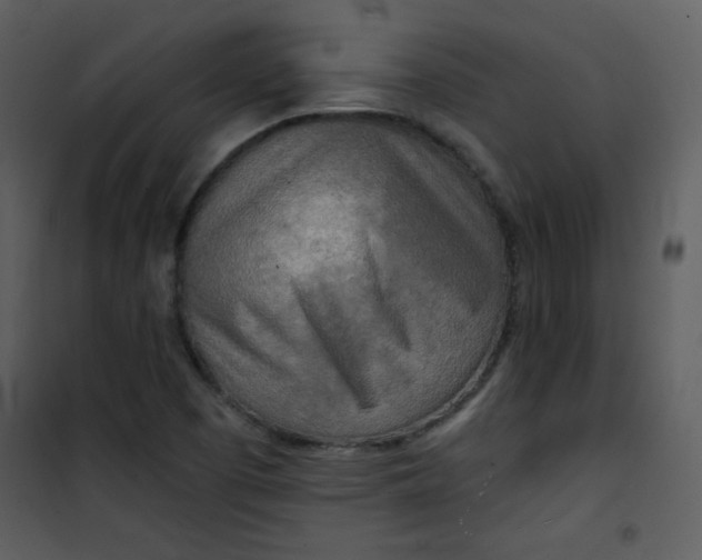 X0000101151457200807181322