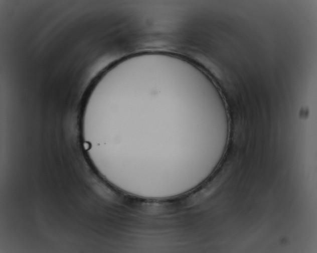 X0000101151458200807181322