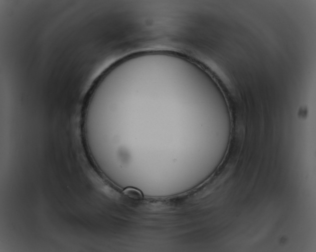 X0000101151460200807181322