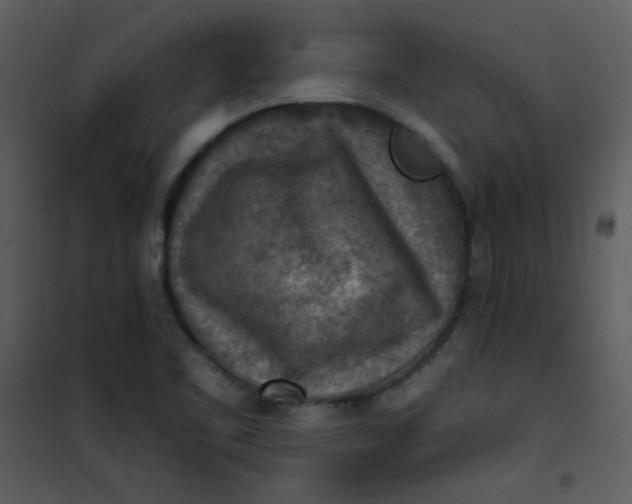 X0000101151461200807181322