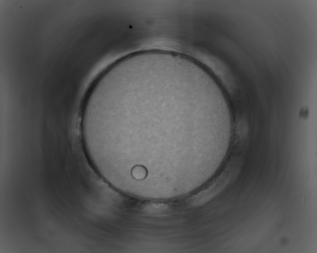 X0000101151462200807181322