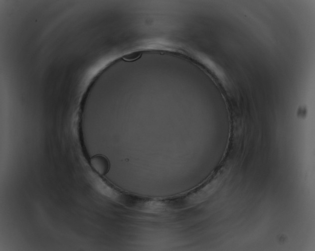 X0000101151463200807181322