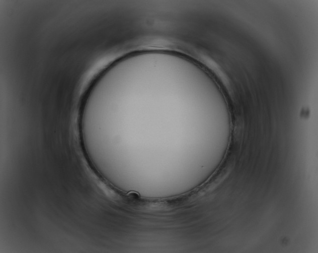 X0000101151464200807181322