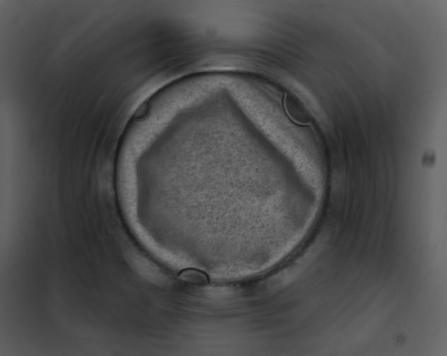 X0000101151465200807181322