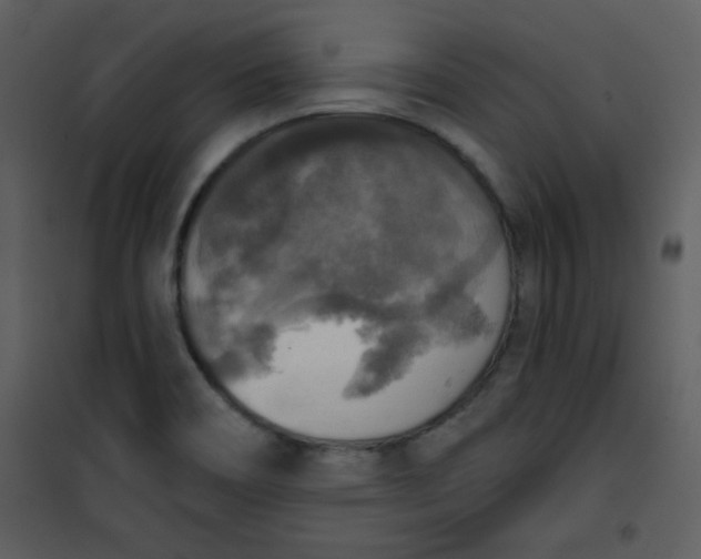 X0000101151466200807181322