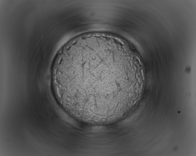 X0000101151467200807181322