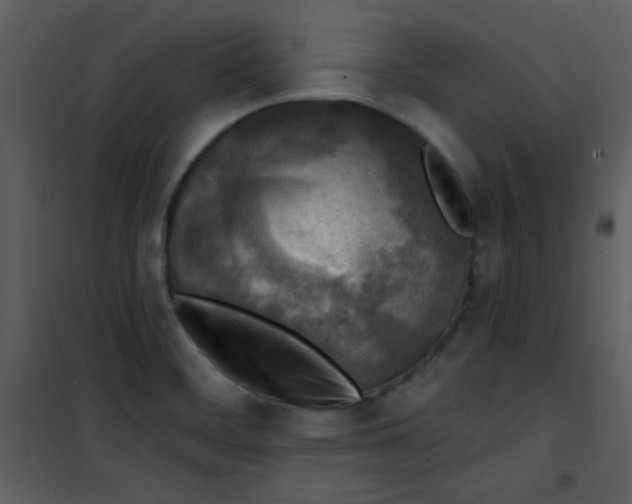 X0000101151468200807181322