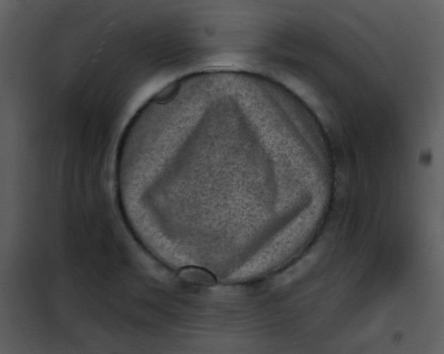 X0000101151469200807181322