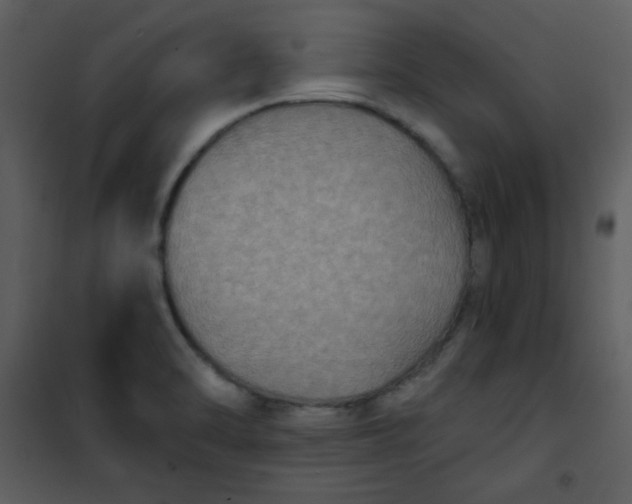 X0000101151470200807181322