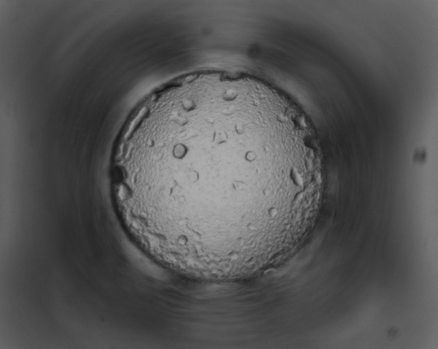 X0000101151471200807181322