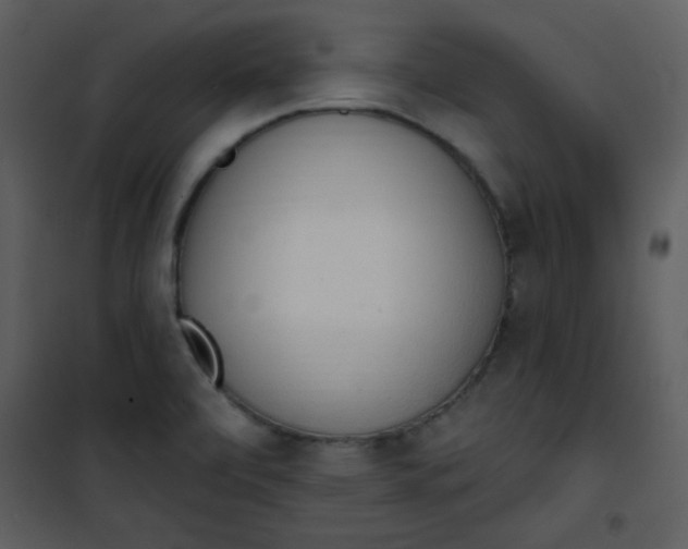 X0000101151472200807181322