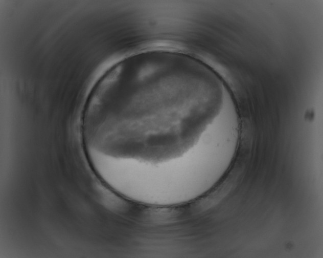 X0000101151474200807181322