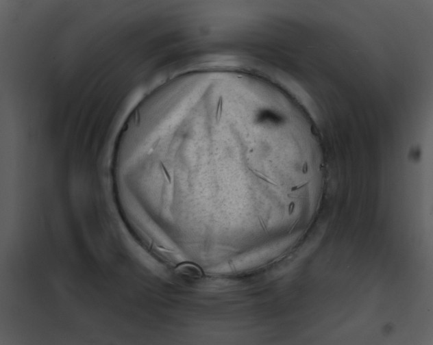 X0000101151475200807181322