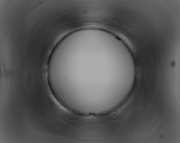 X0000101151476200807181322