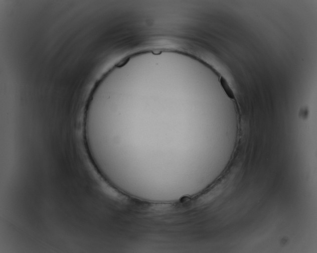 X0000101151477200807181322