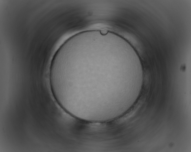 X0000101151478200807181322