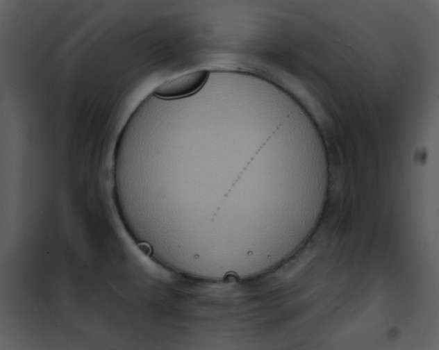 X0000101151479200807181322