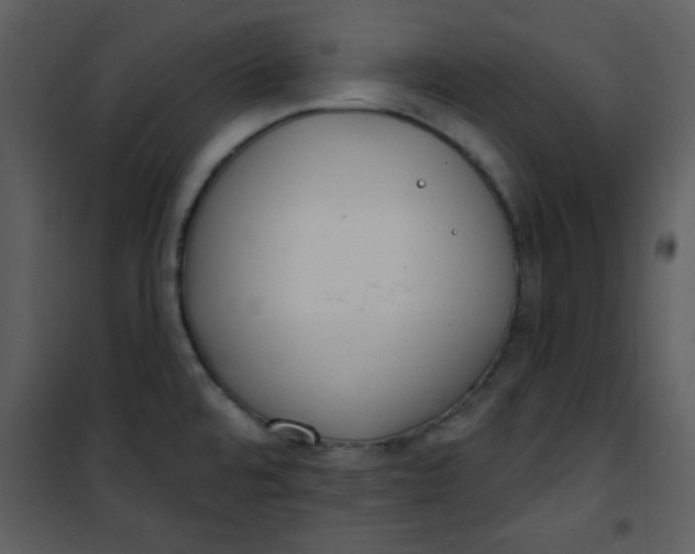 X0000101151480200807181322