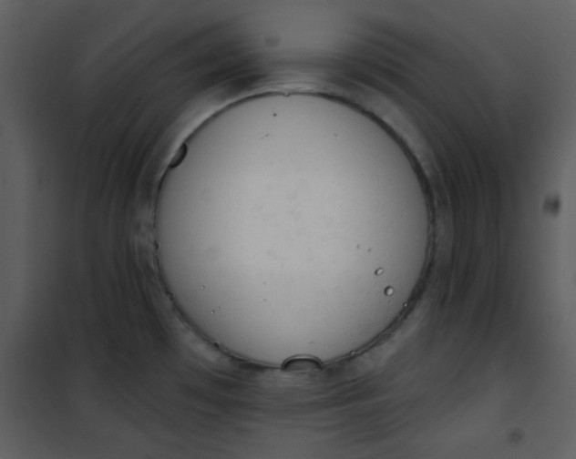 X0000101151481200807181322