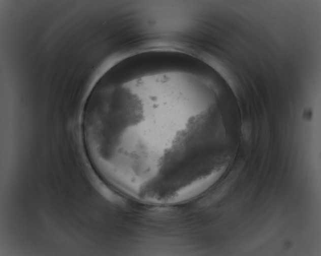 X0000101151482200807181322