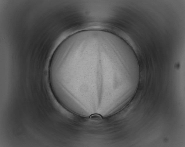 X0000101151483200807181322