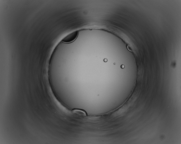 X0000101151484200807181322